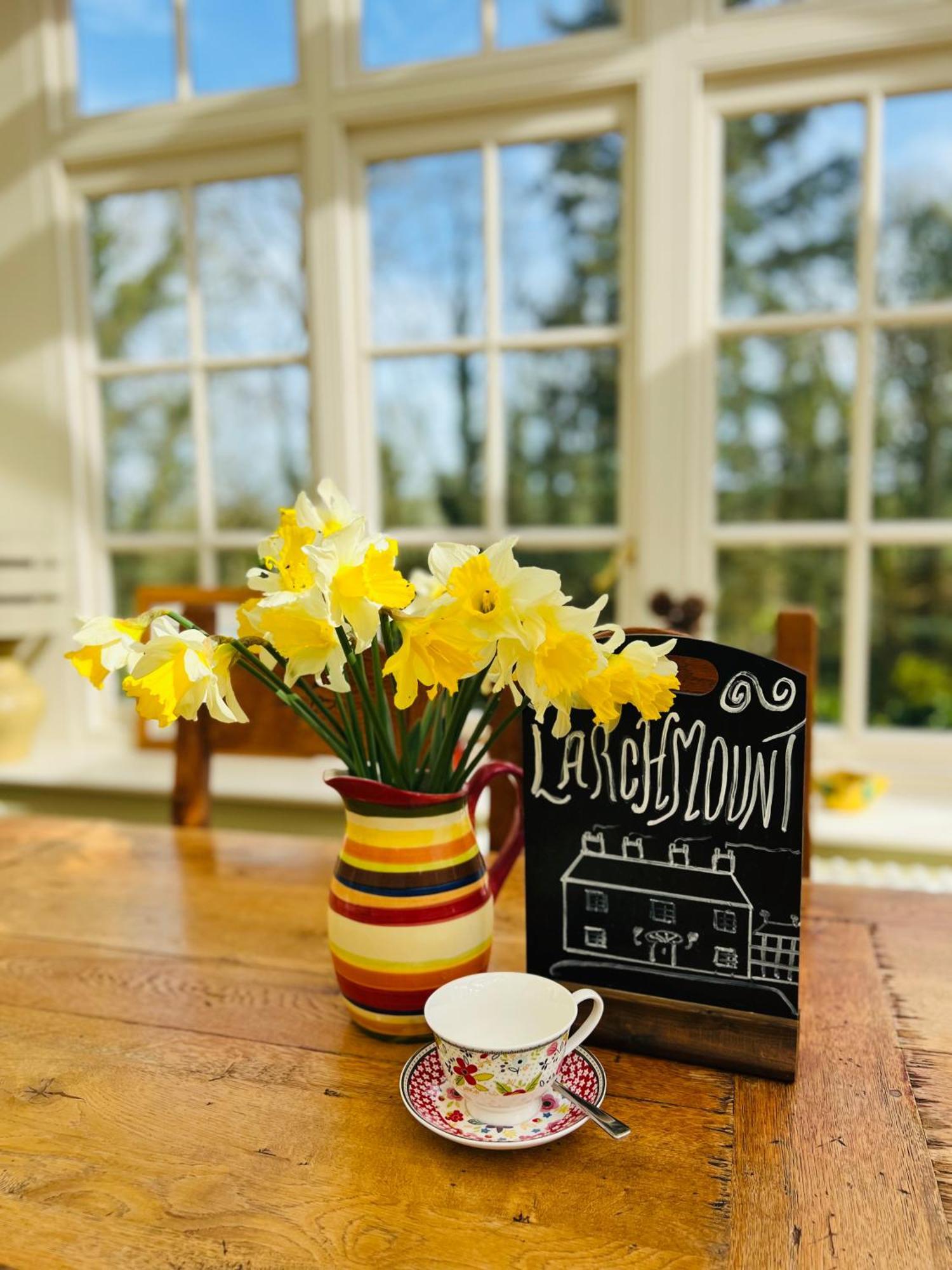 Larchmount House B&B Londonderry Kültér fotó